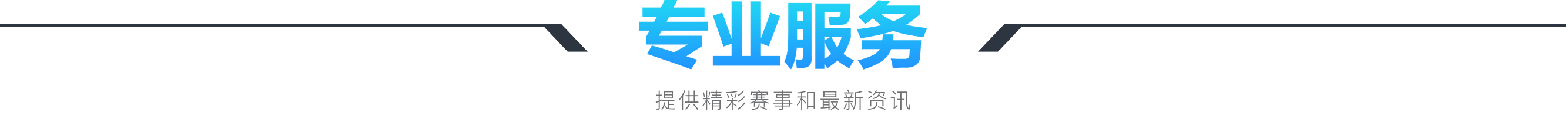 专业服务